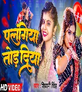 Maai Tor Dularua Damad Palangiya Tod Diya Hai