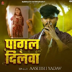 Pagal Dilwa (Aashish Yadav)